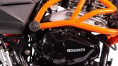 Купить мотоцикл RegulMoto Duke 300 - с бесплатной доставкой без переплат + ПТС и рассрочка
