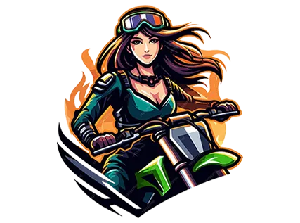 На все мотоциклы делаем ПТС